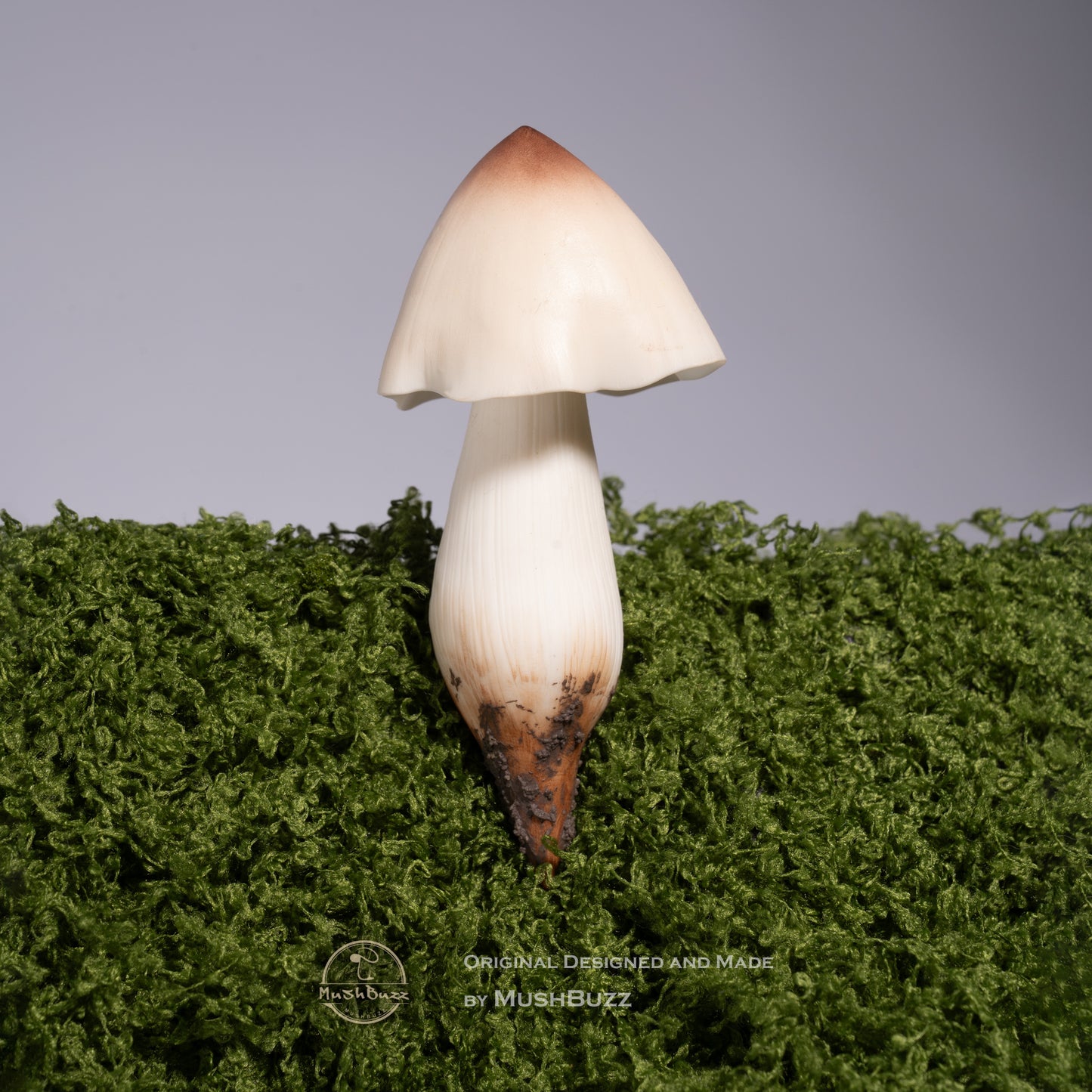 Chicken Mushroom