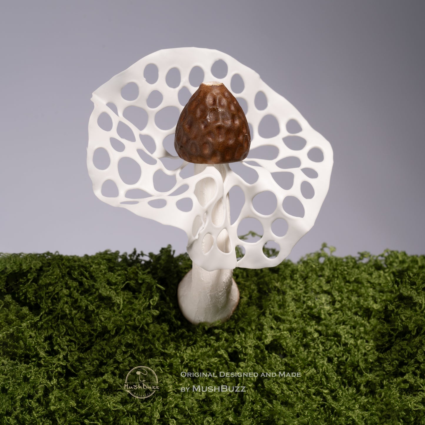 Bamboo Fungus