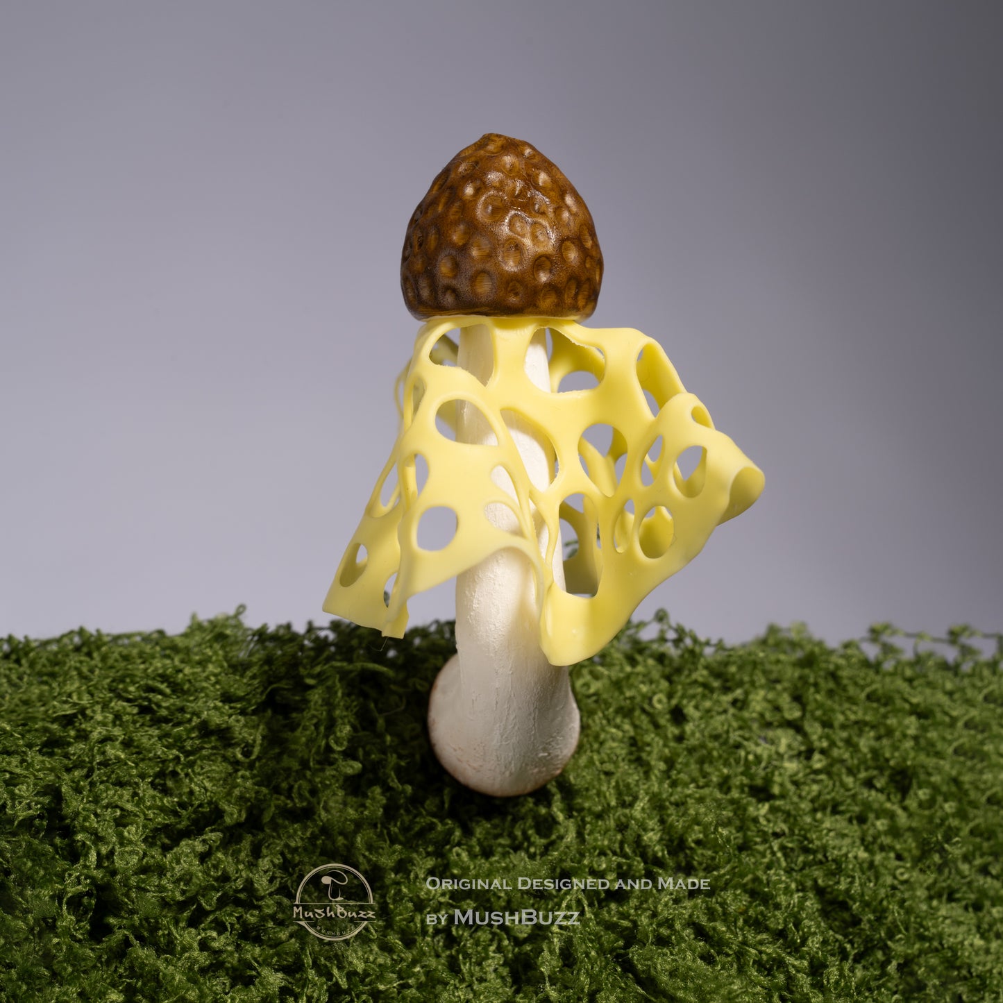 Bamboo Fungus
