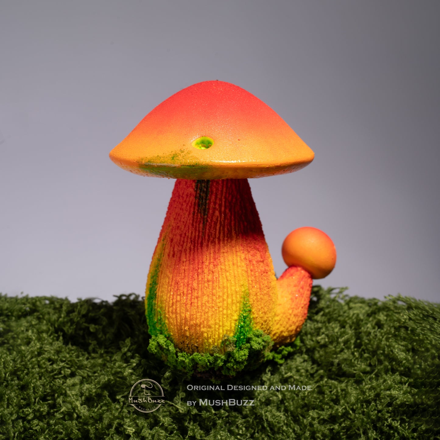 Boletus speciosus