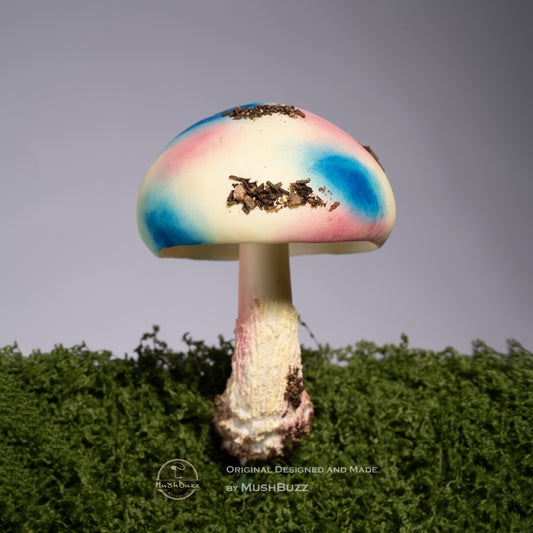 Enchanted Caps Collection