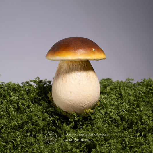 Boletus