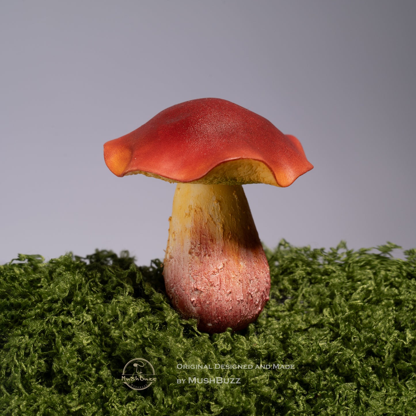 Psilocybe