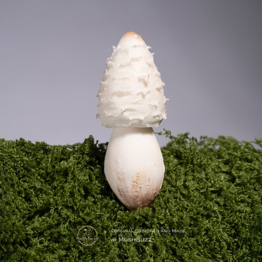 Chicken Leg Mushroom