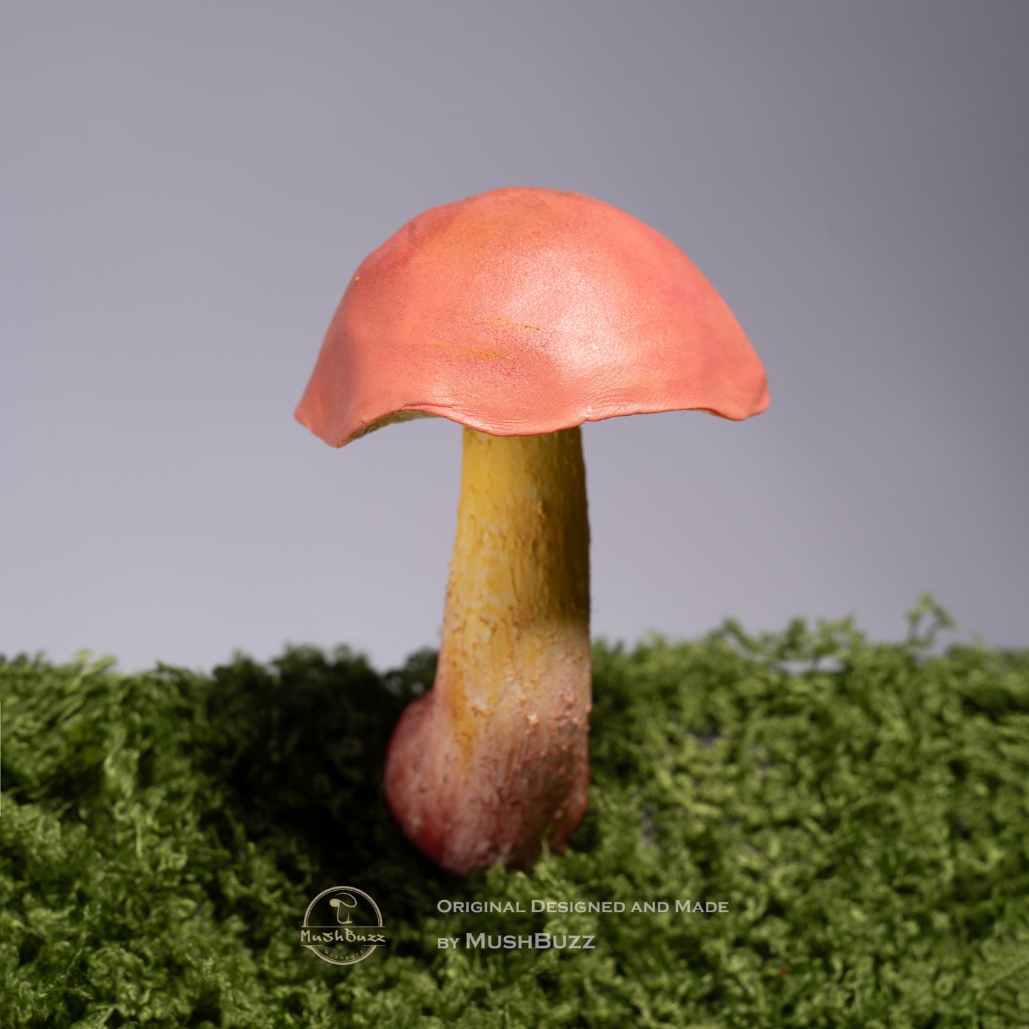 Psilocybe