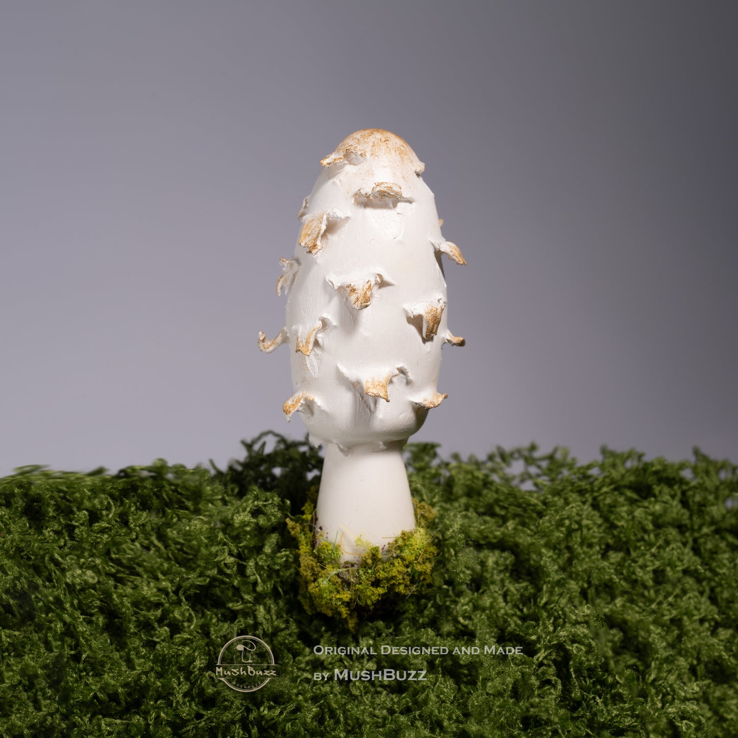 Chicken Leg Mushroom