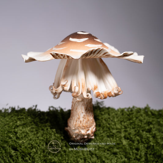 Chicken Mushroom