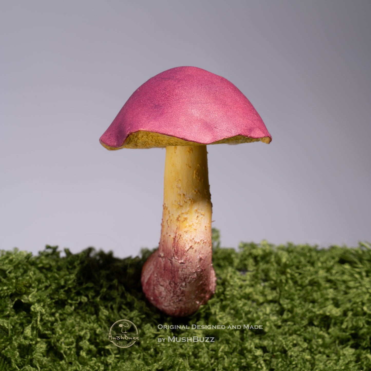 Psilocybe