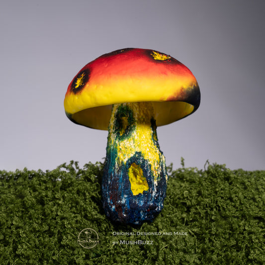 Boletus speciosus