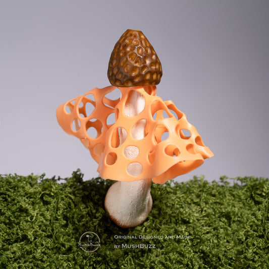Bamboo Fungus