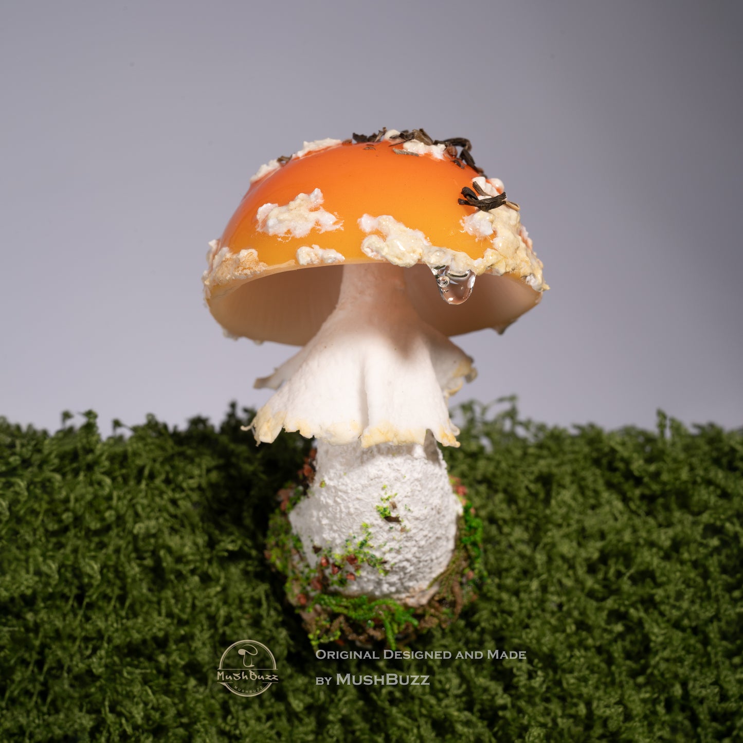 Orange Amanita