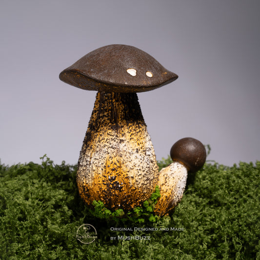 Boletus speciosus