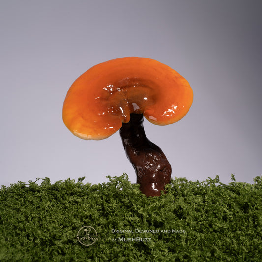 Reishi Mushroom
