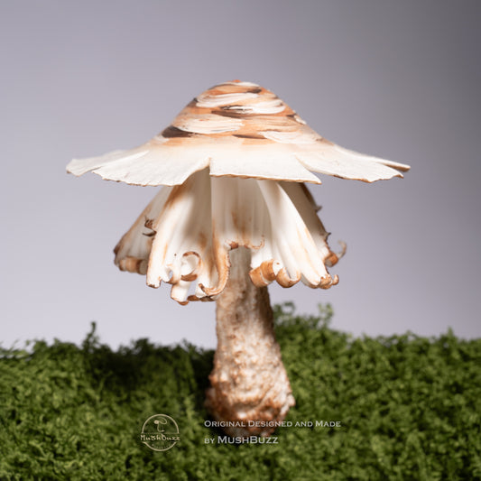 Chicken Mushroom