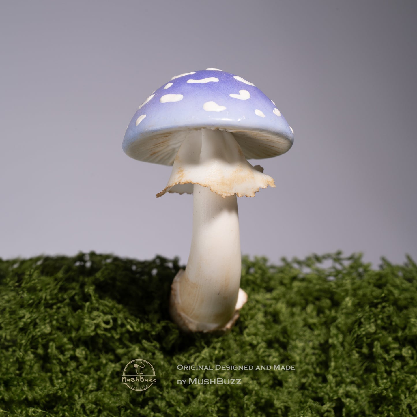 Sunshine Mushroom