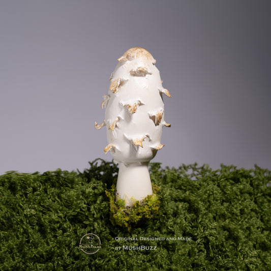 Chicken Leg Mushroom