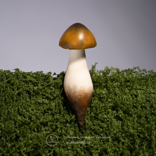 Chicken Mushroom