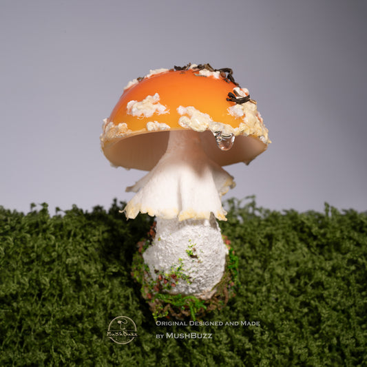 Orange Amanita