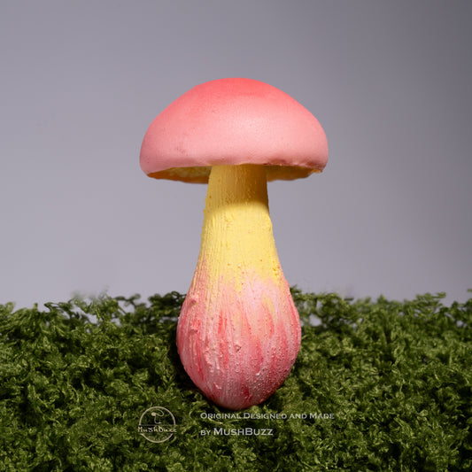 Psilocybe
