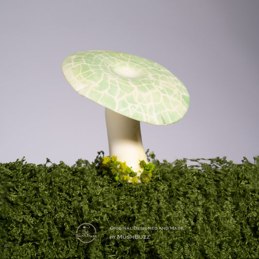 Green Head Mushroom