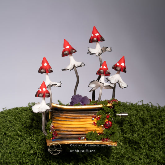 The Music Box of Magic Book