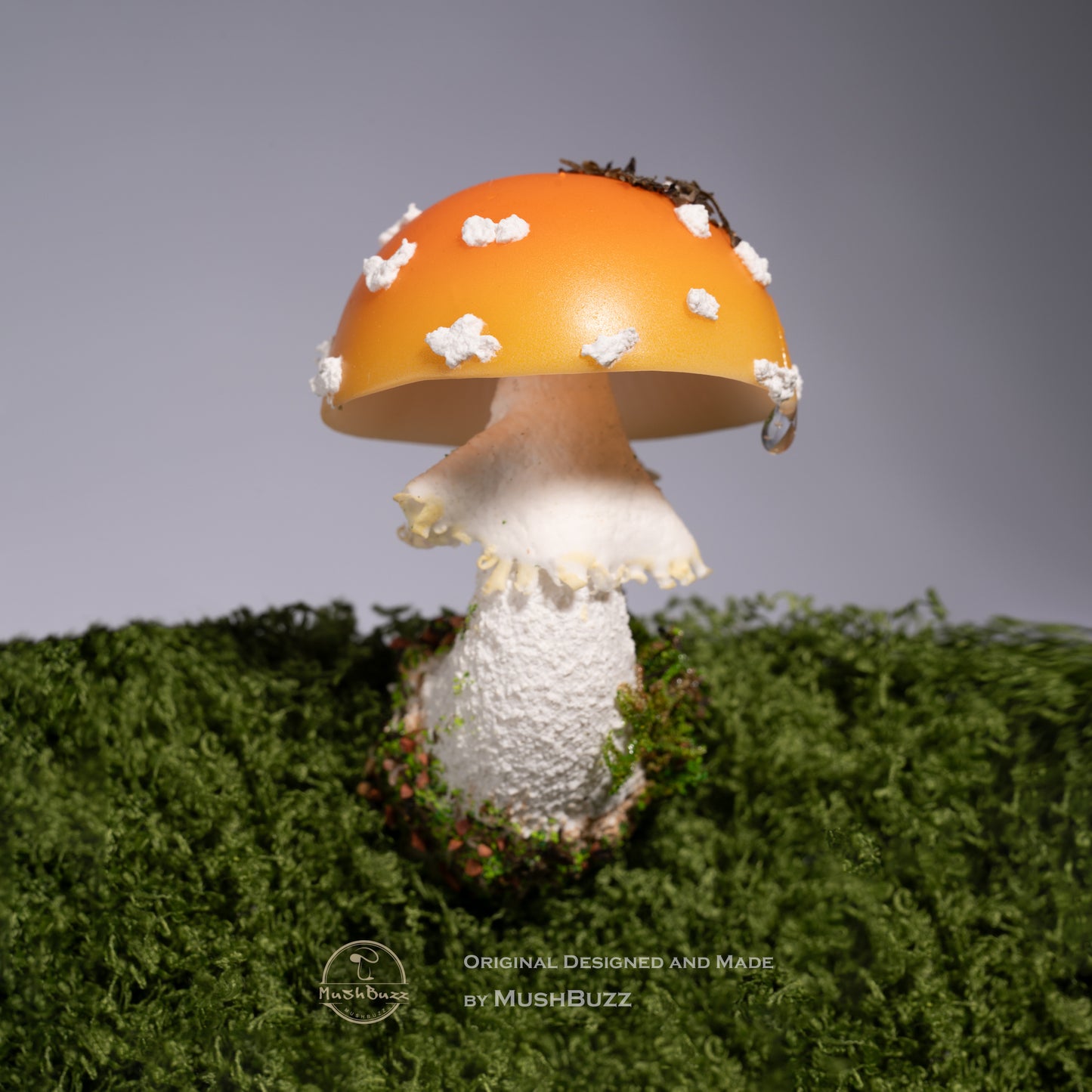 Orange Amanita
