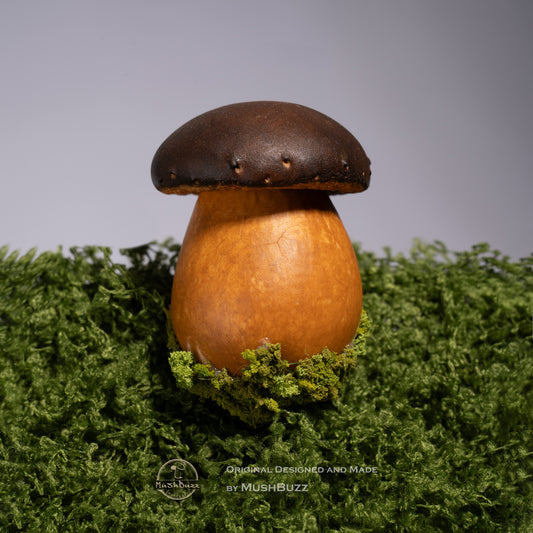 Boletus